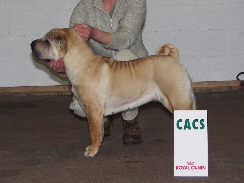 Channa Manoir de kerlessy